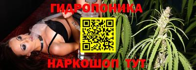 apvp Кунгур