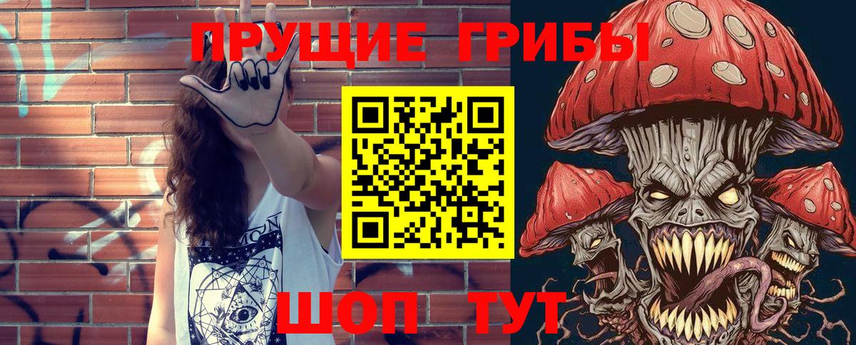 Галлюциногенные грибы Psilocybe Знаменск