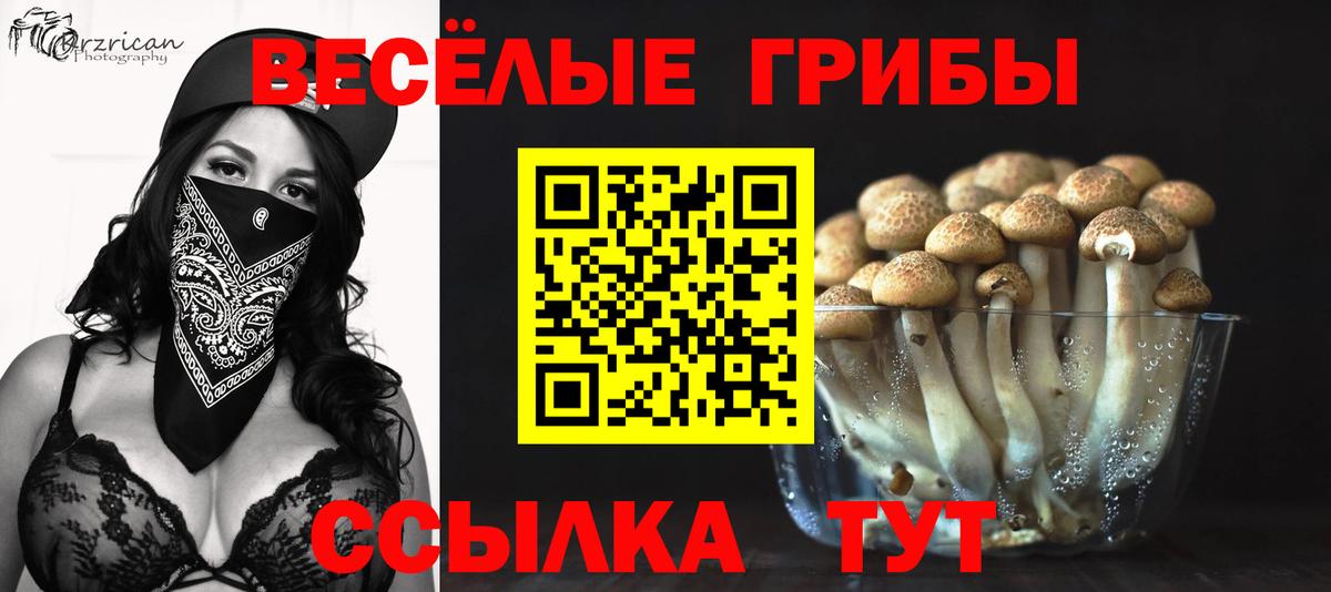 Галлюциногенные грибы Cubensis  Вход с VPN  Знаменск 